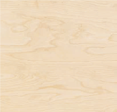 1.5mm Birch Plywood